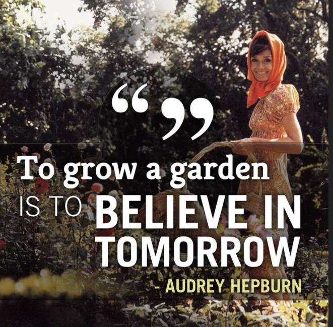 Audrey Hepburn